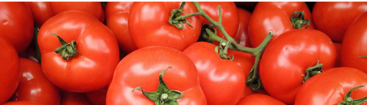 Space-Saver Tomato Cage Launches Redesigned Responsive Website